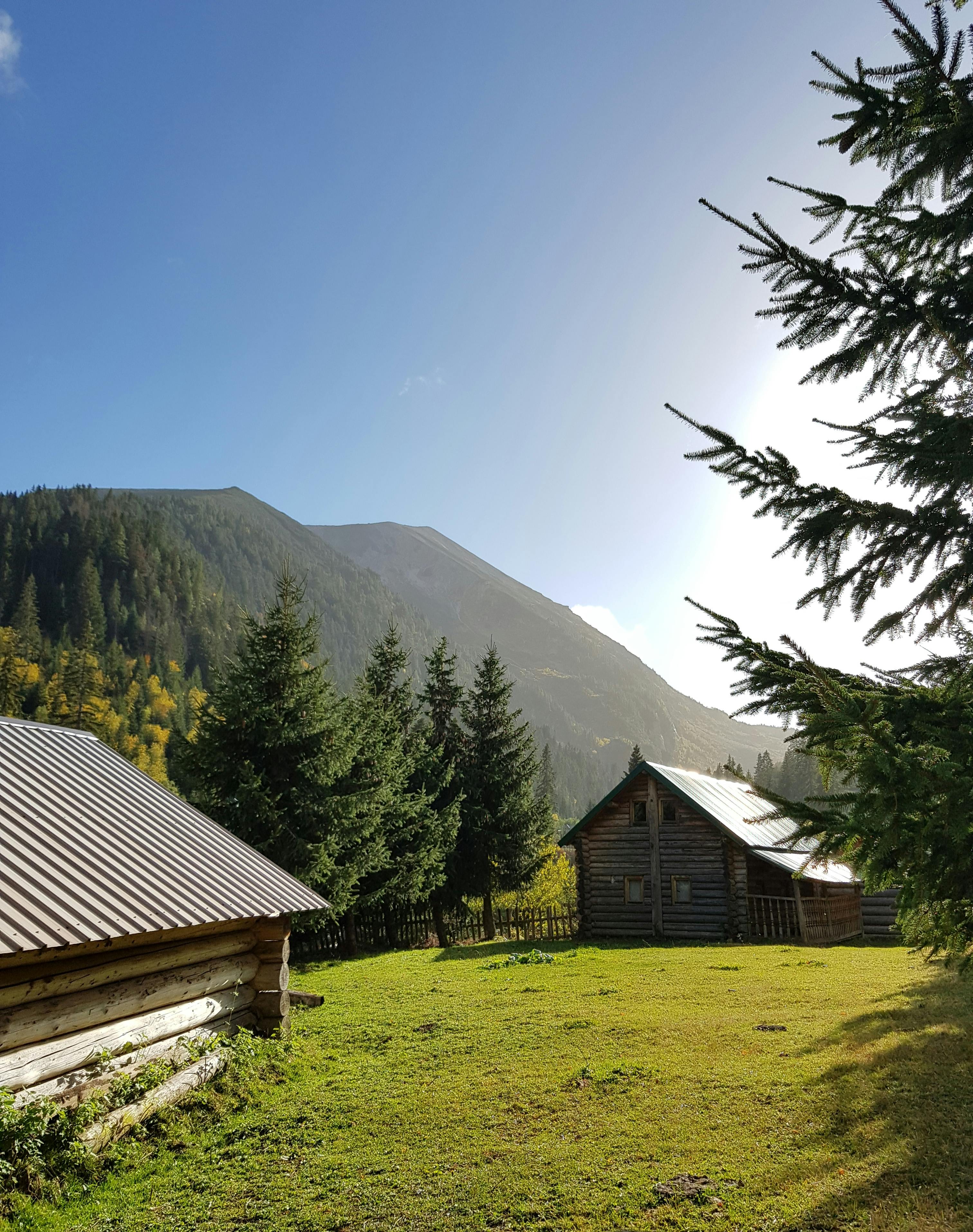 Sunlit wooden cabins in a lush mountain village in Kosovo, showcasing clear blue skies and dense greenery.