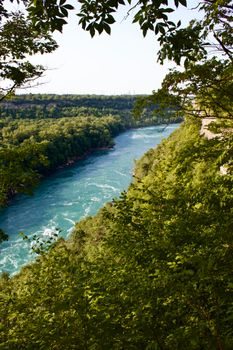 Breathtaking Niagara River Gorge surrounded by lush green forest in summer.