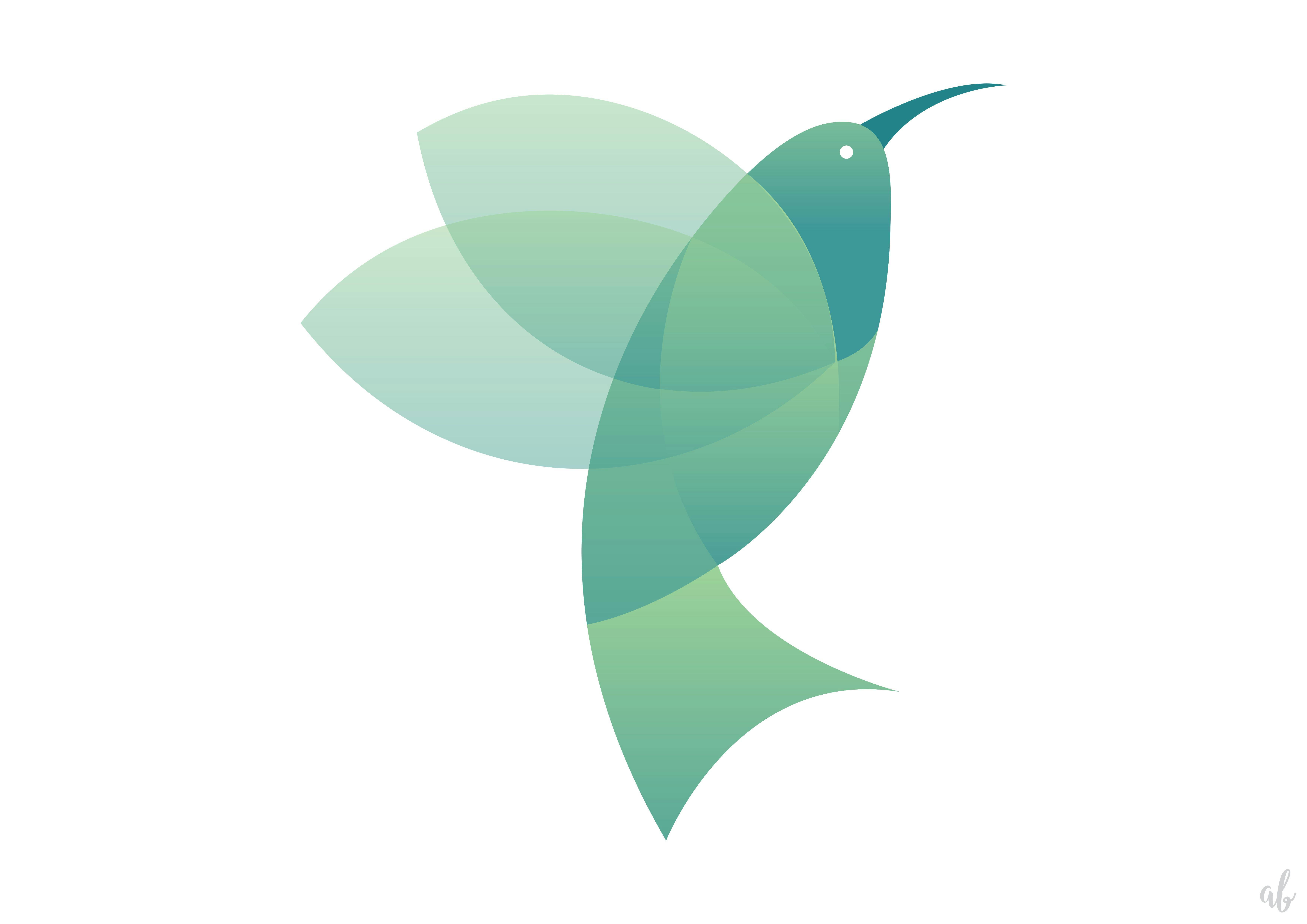 Foto Stok Gratis Tentang Bagian Burung Terbang Burung Vektor