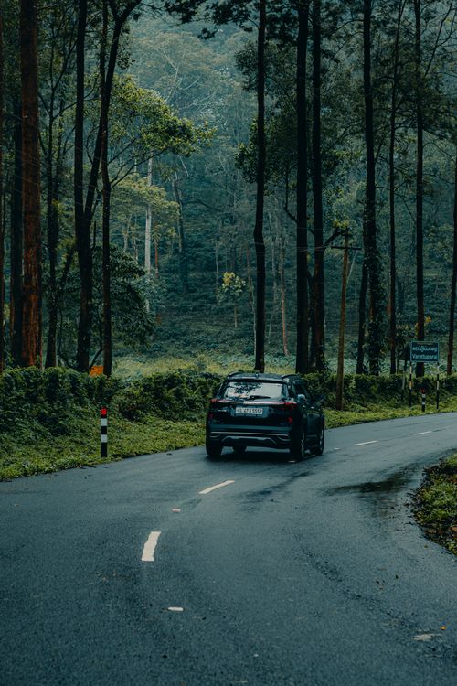 Free Car on a curved forest road, surrounded by tall trees, creating a serene travel experience. Stock Photo