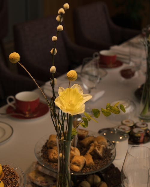 Kostnadsfri bild av anläggning, blommor, bord