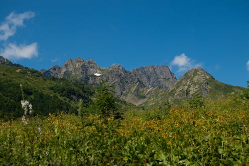 Foto profissional grátis de área, céu azul, colinas
