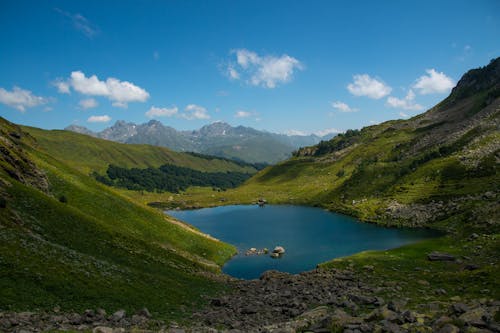 A lake in the mountains surrounded by green grass