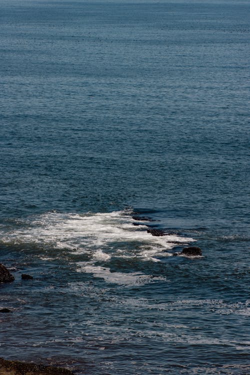 Бесплатное стоковое фото с вертикальный выстрел, вода, волны