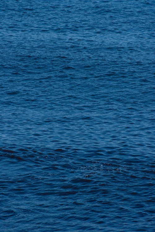 Fotos de stock gratuitas de agua, atlantic ocean, húmedo