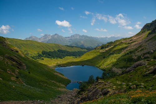 Kostenloses Stock Foto zu aussicht, berg, gras