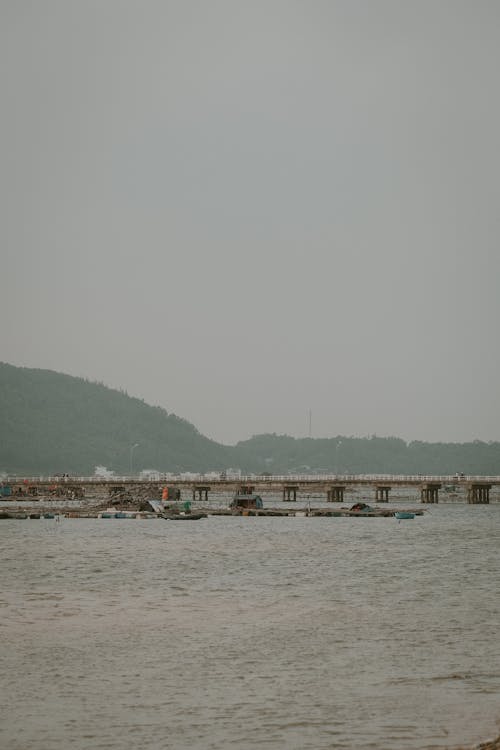 Foto profissional grátis de água, cais, colinas