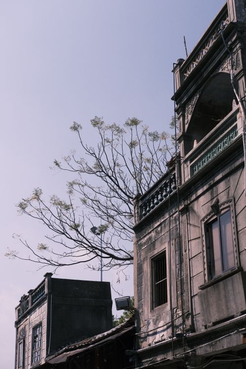 Free An urban scene showcasing old residential buildings and a bare tree under a clear sky. Stock Photo