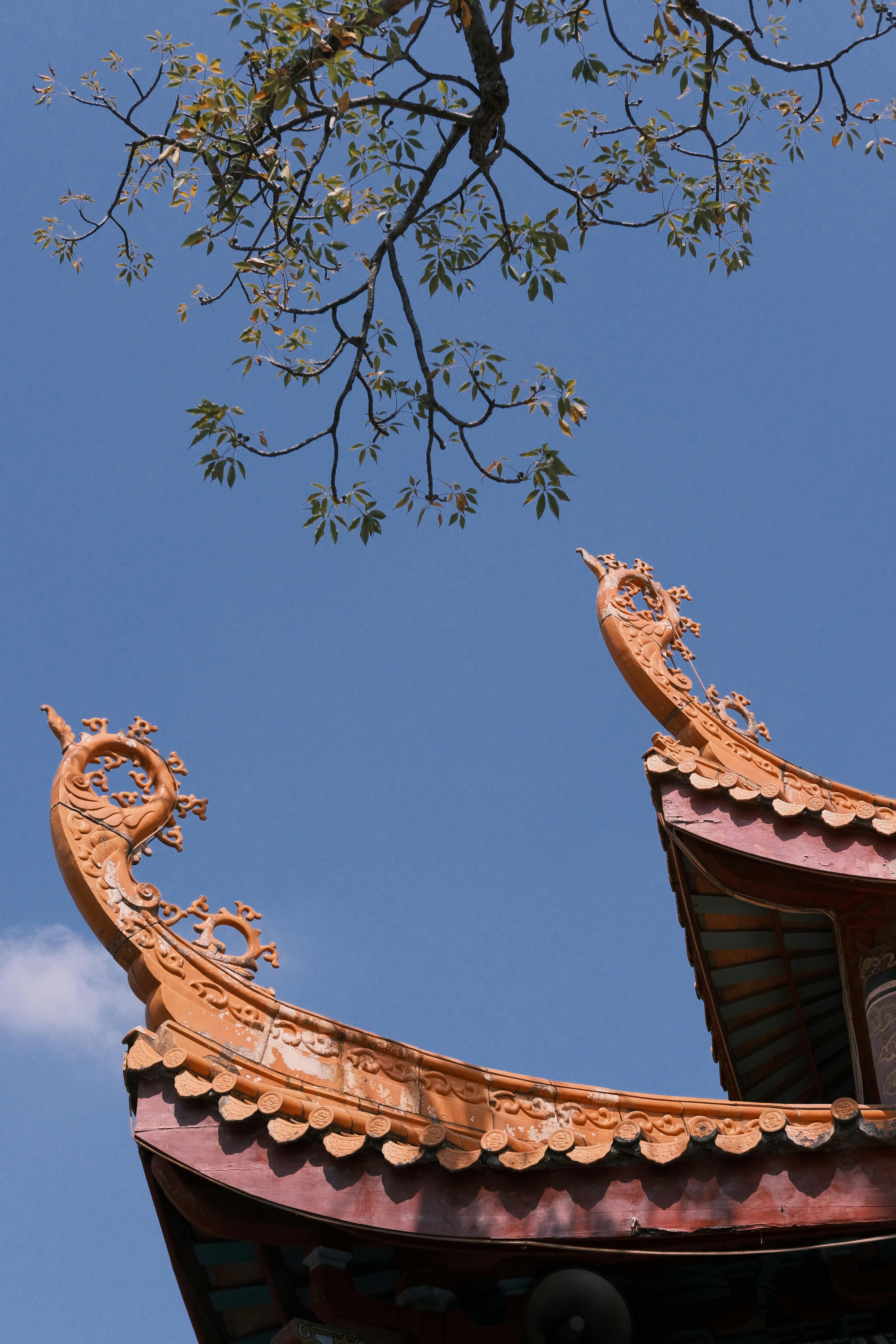 Ornate Corners of Asian Roof · Free Stock Photo