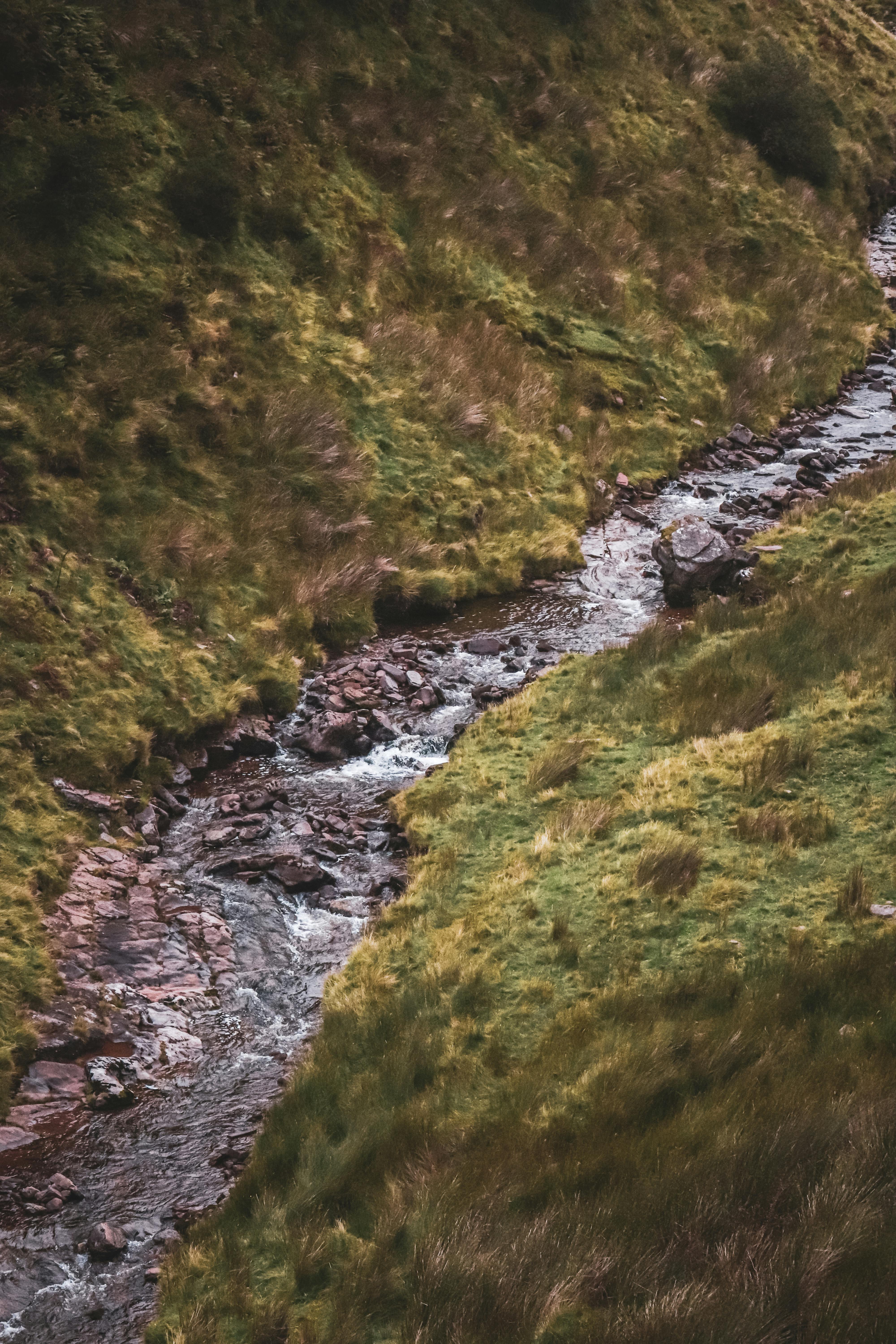 A tranquil stream meandering through a lush, green valley, showcasing nature's beauty.