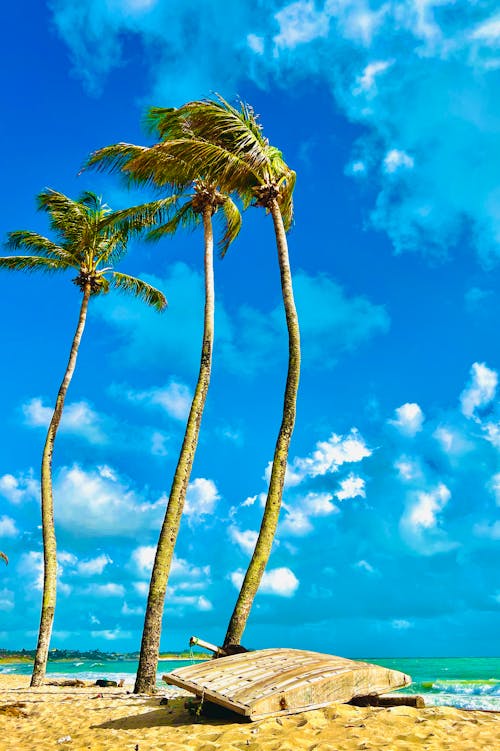 Gratis stockfoto met blauwe lucht, blikveld, eiland