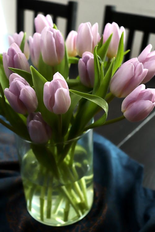 A vase filled with purple tulips on a table