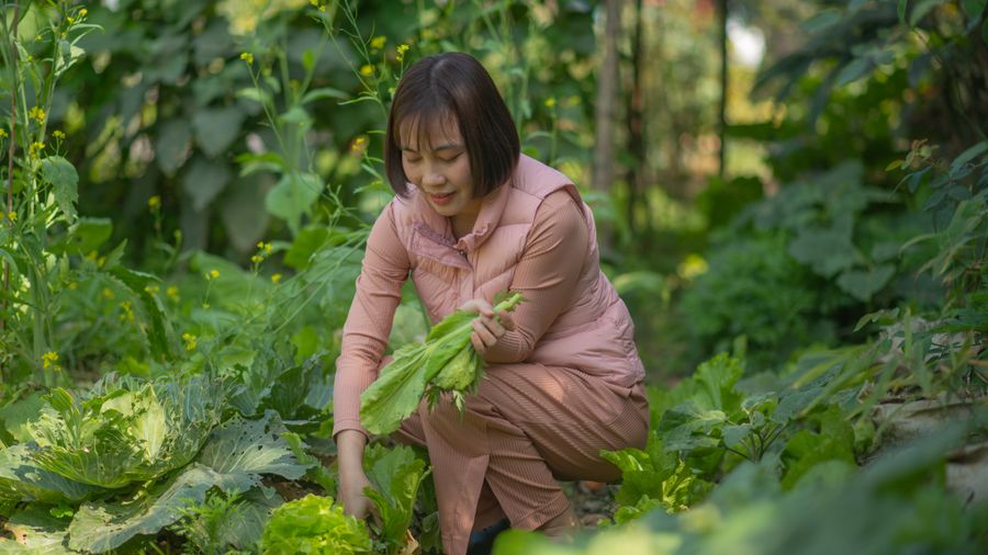 Garden tools every beginner needs — and the surprising one that changed everything