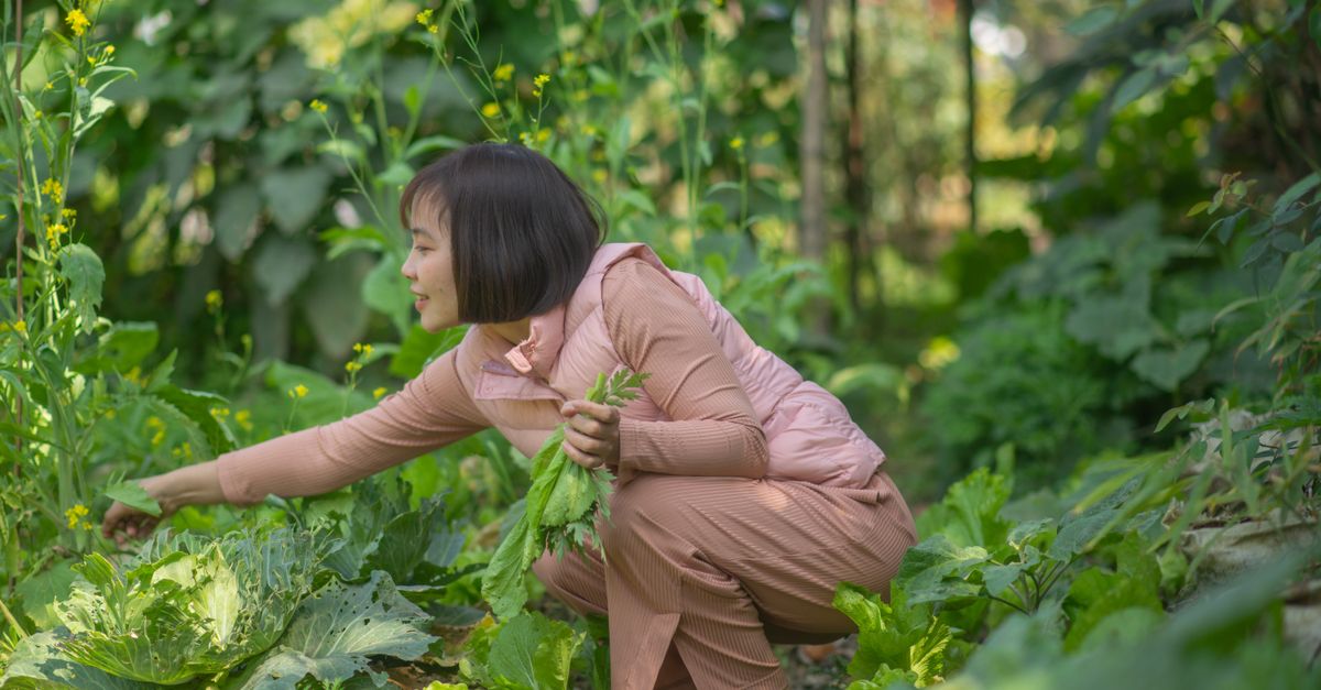 Comment Choisir les Meilleurs Légumes à Cultiver dans Votre Jardin