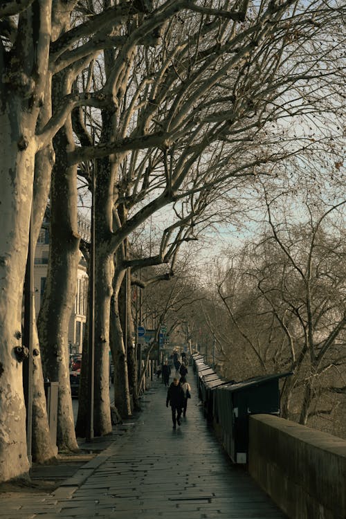 คลังภาพถ่ายฟรี ของ parisienne, wallstreet, กลางแจ้ง