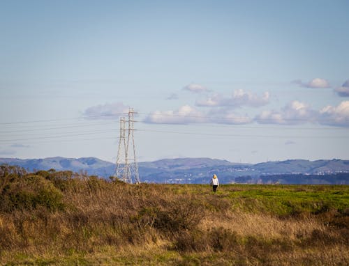 View on a Field with a Person in the Distance