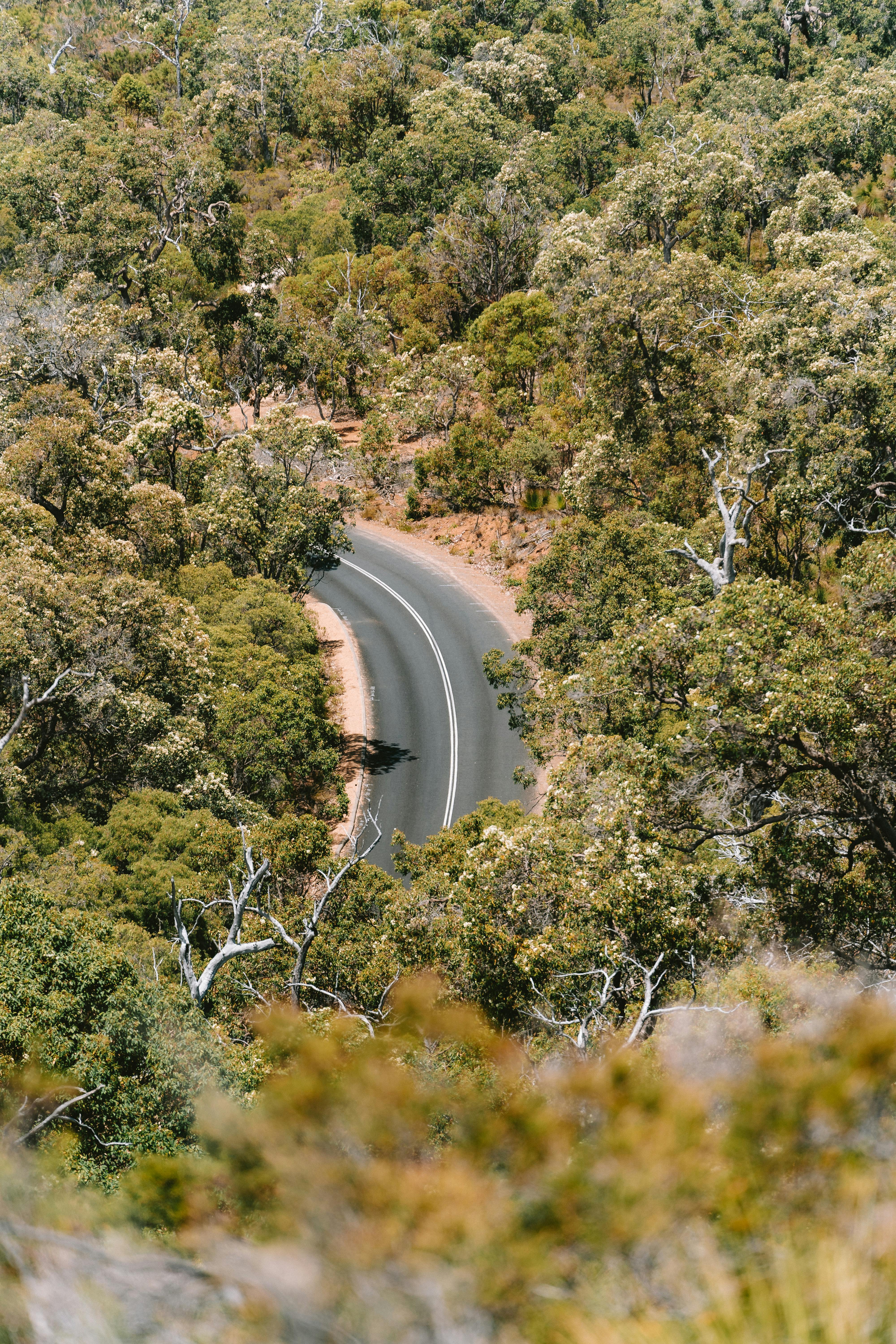 Aerial view of a winding road through lush forests in Dunsborough, Australia.