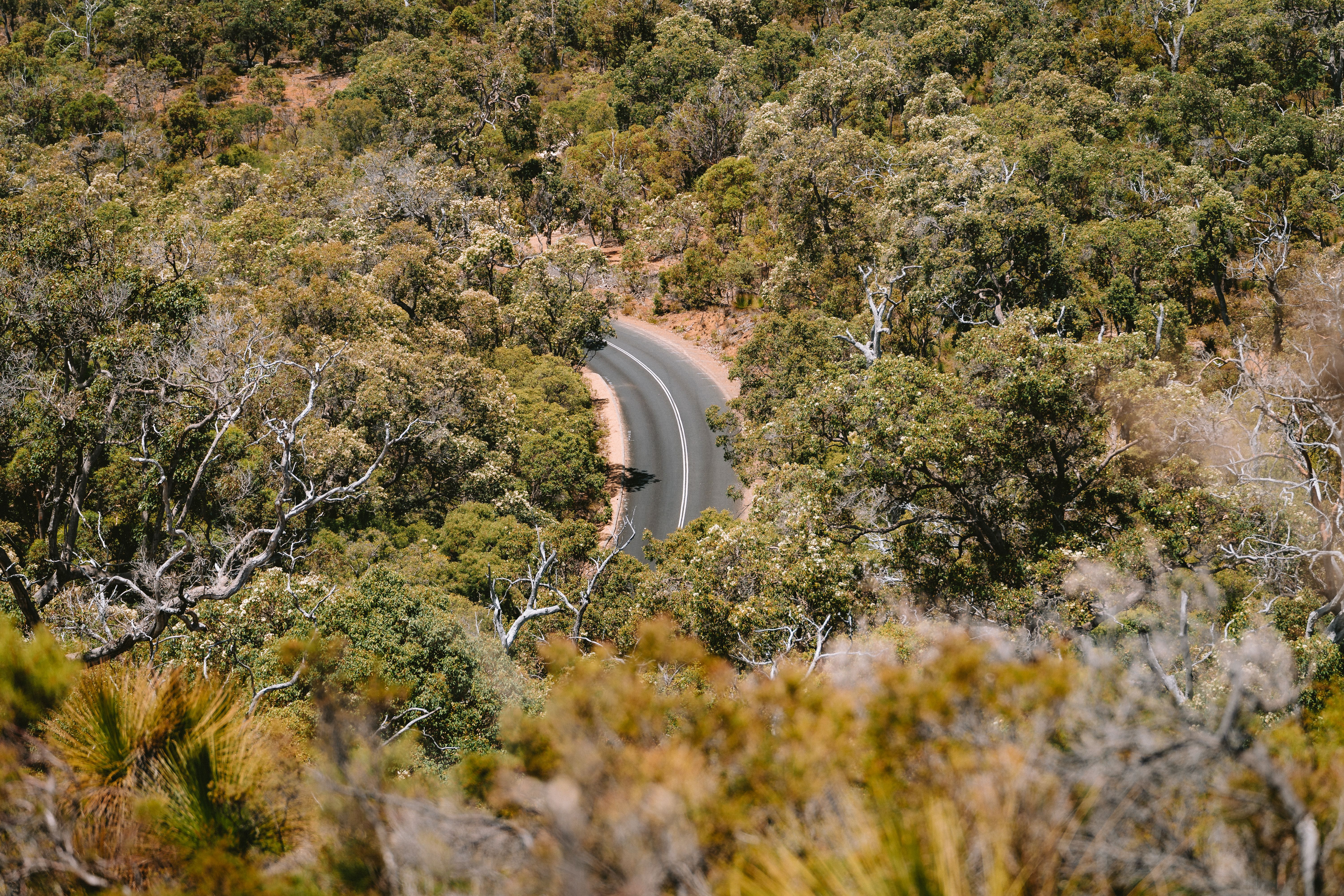 Aerial view of a winding road in Dunsborough, surrounded by lush summer foliage.