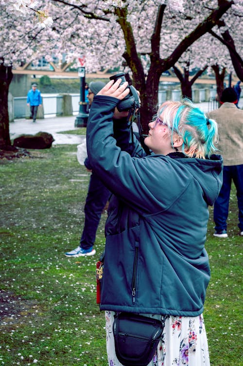 A woman taking a picture of a cherry blossom tree