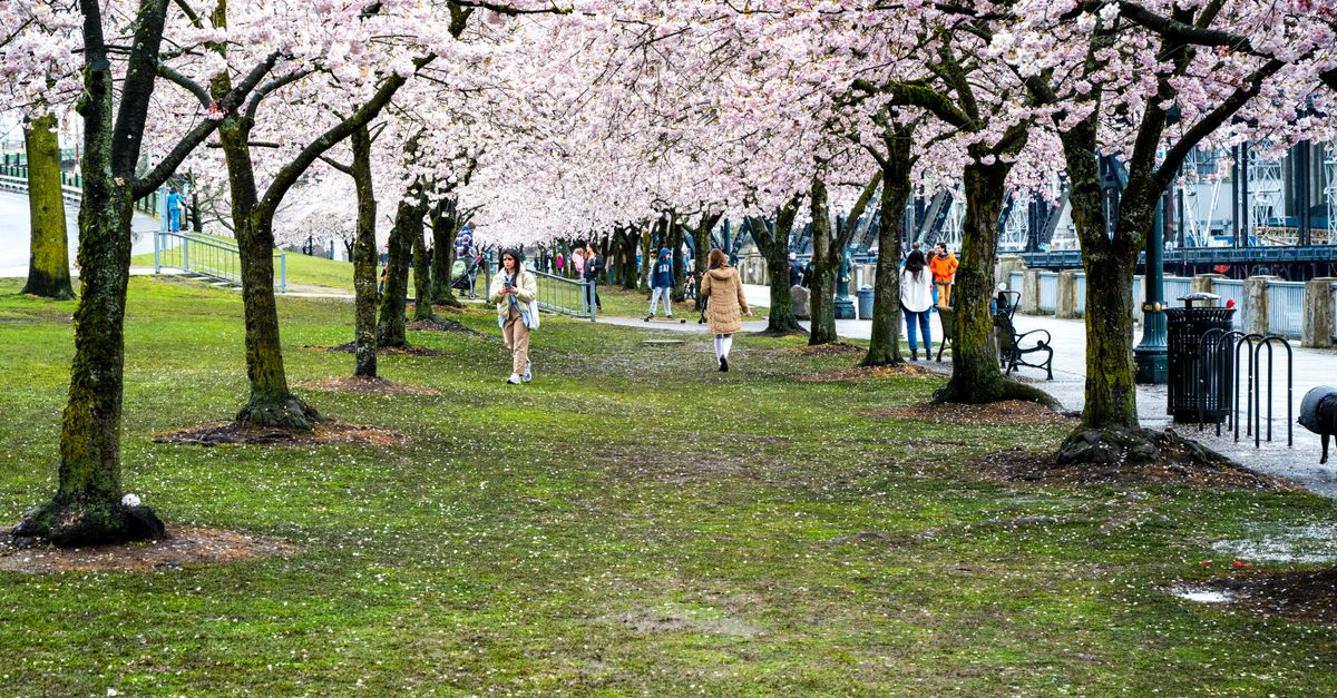 Les plus belles villes à découvrir au printemps