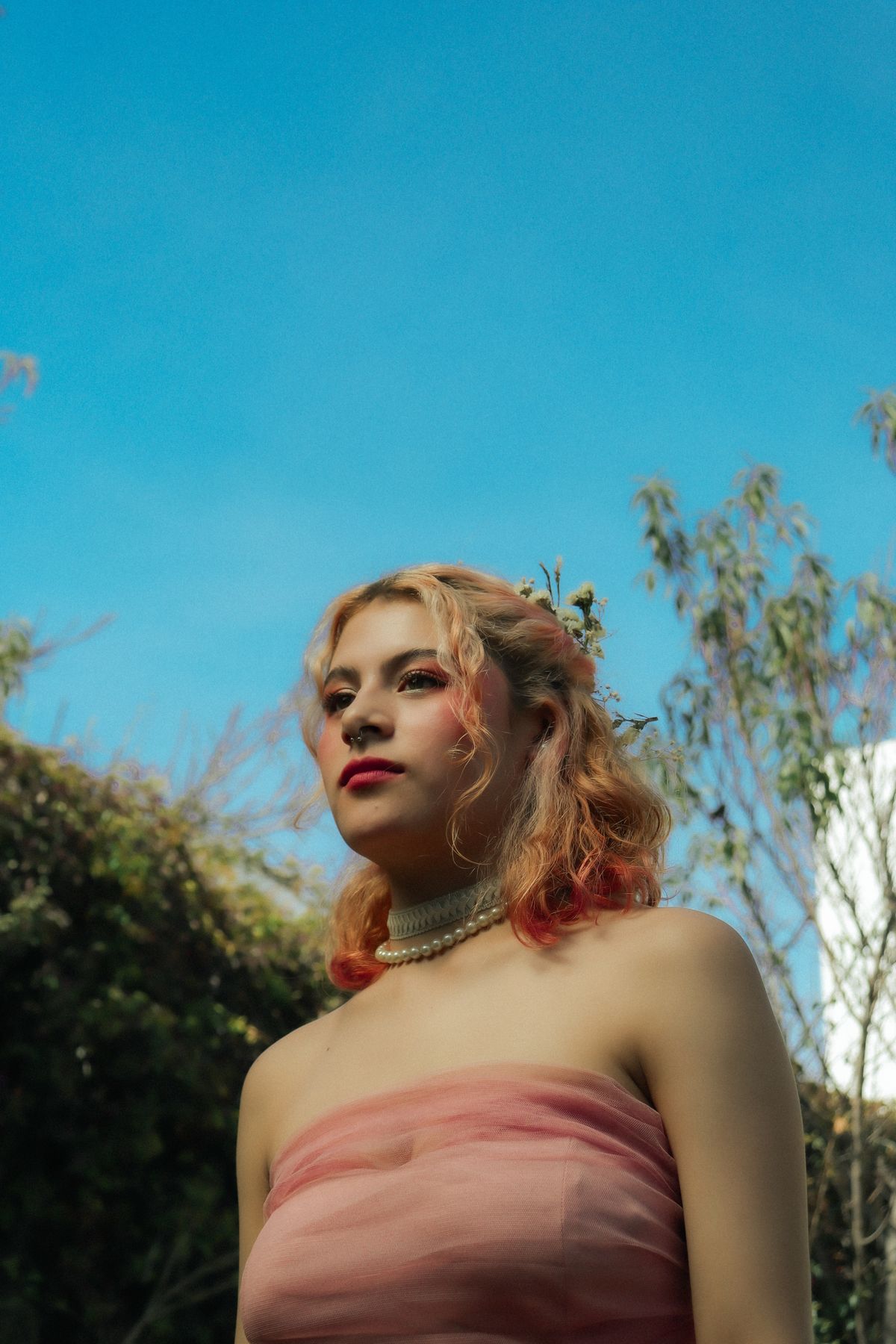 Portrait of Blonde Woman Wearing Pink Dress · Free Stock Photo