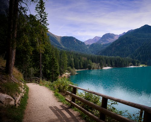 Foto stok gratis alam, danau, hutan