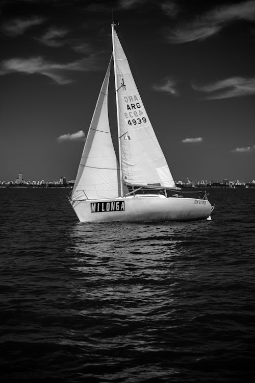 Imagine de stoc gratuită din alb-negru, aventură, barcă cu pânze