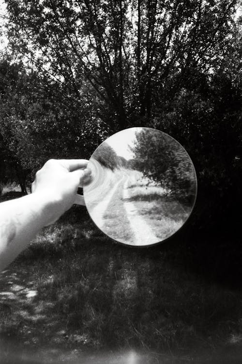 A person holding a magnifying glass in front of a tree