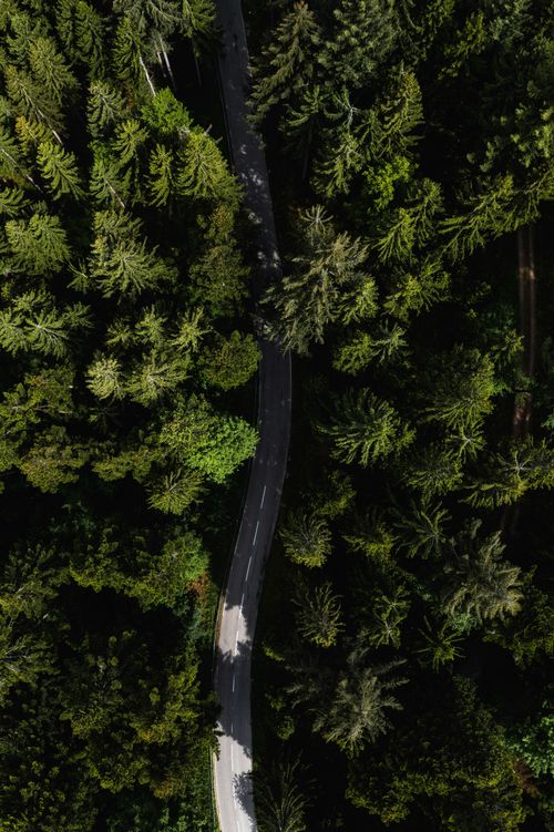 Free Captivating aerial image of a winding road meandering through a lush, green forest. Stock Photo