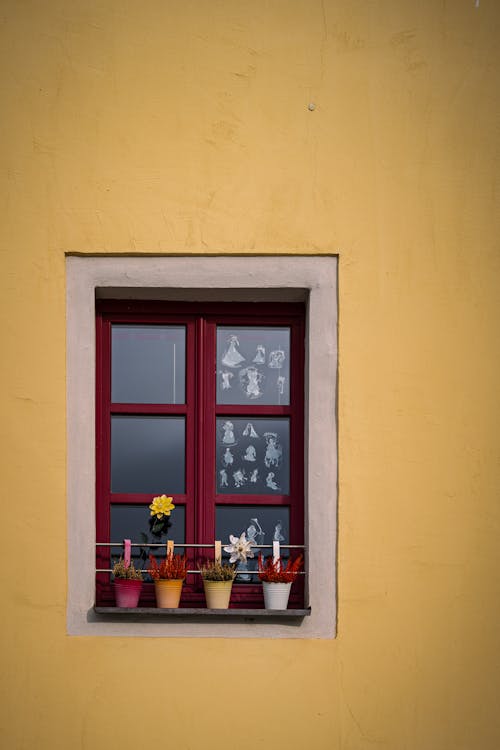 Close-up of a Window with Decorations and Flowers on the Windowsill 