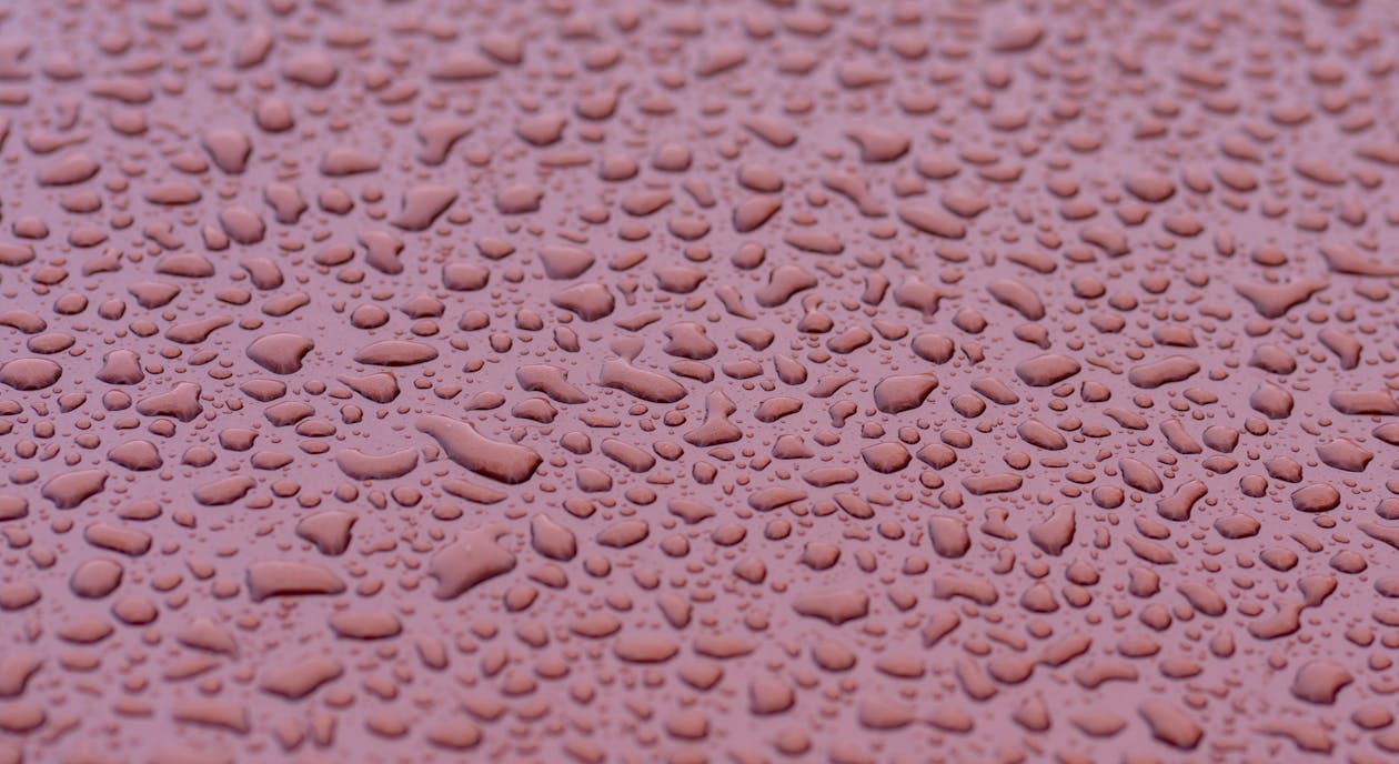 Foto profissional grátis de fresco, fundo cor-de-rosa, gotas de chuva