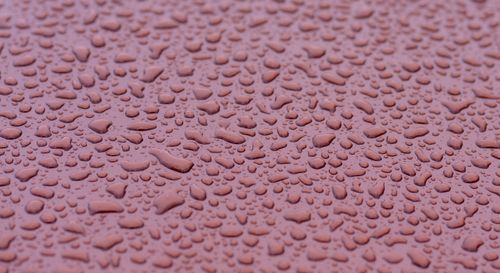 Free A detailed macro shot of raindrops on a wet pink surface, creating an abstract texture. Stock Photo