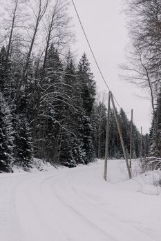 Explore a tranquil snowy forest road blanketed in winter's embrace, offering serene nature escape.