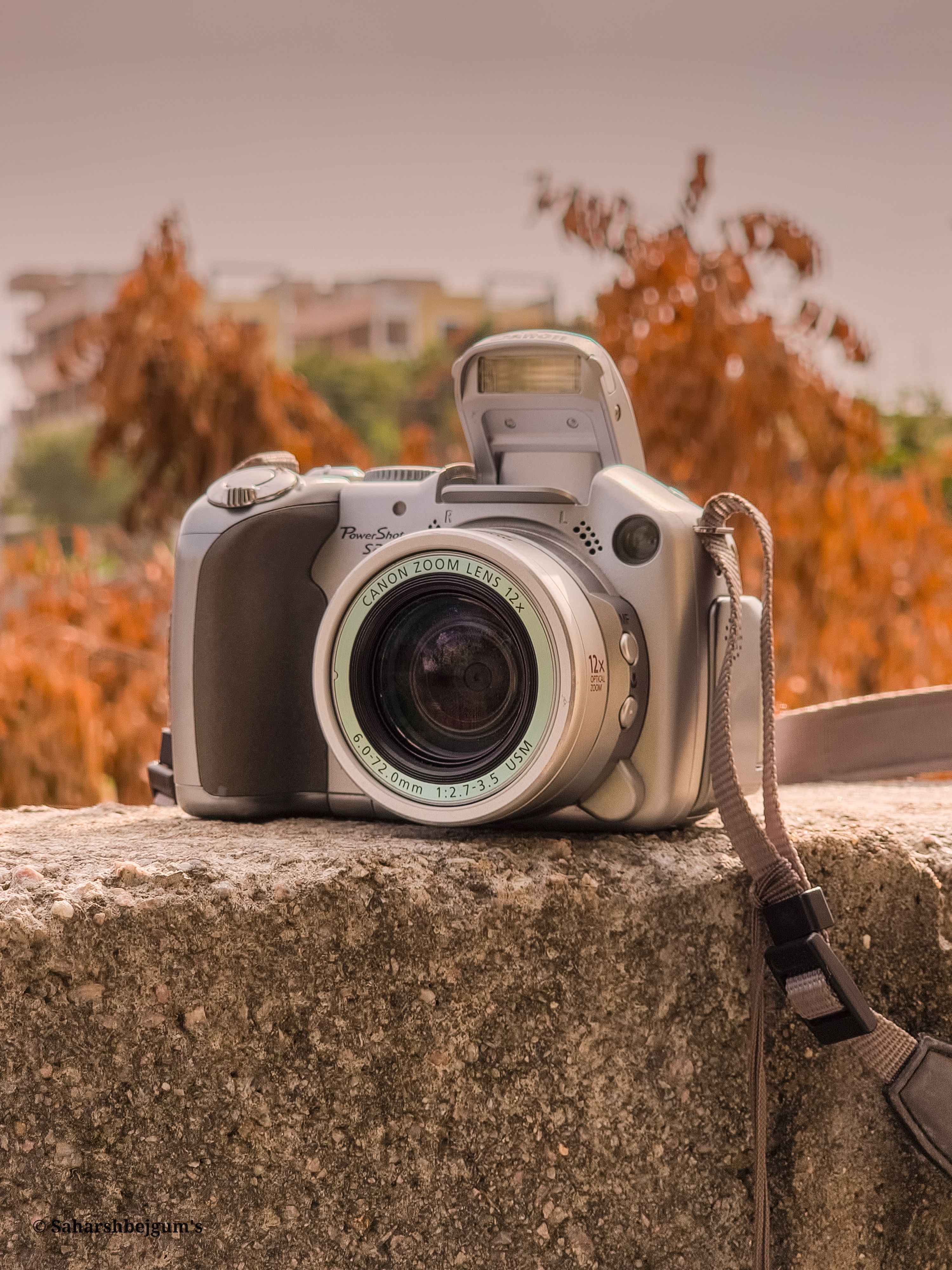 Digital Camera