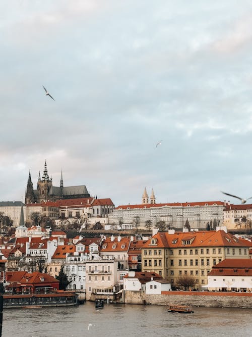 Buildings over River in Prague