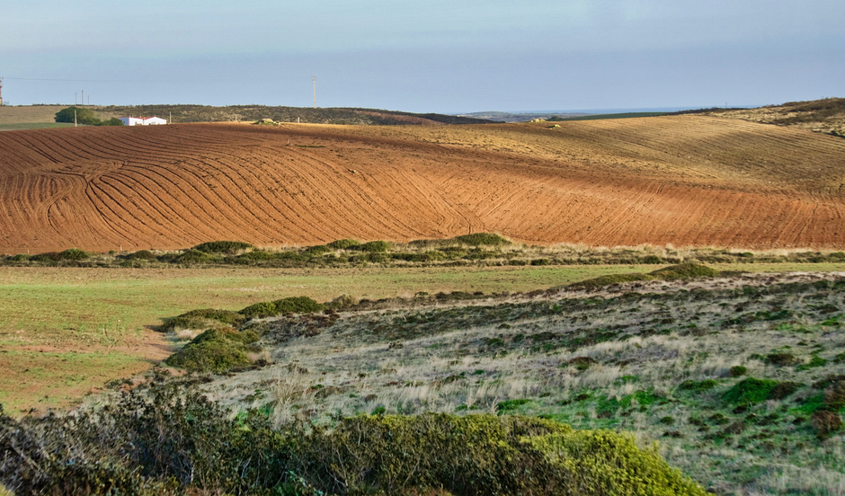 Idyllic rural landscape in Sagres, Portugal with rolling plowed fields.
