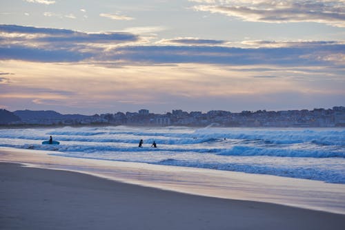 Foto profissional grátis de areia, espuma, horizonte