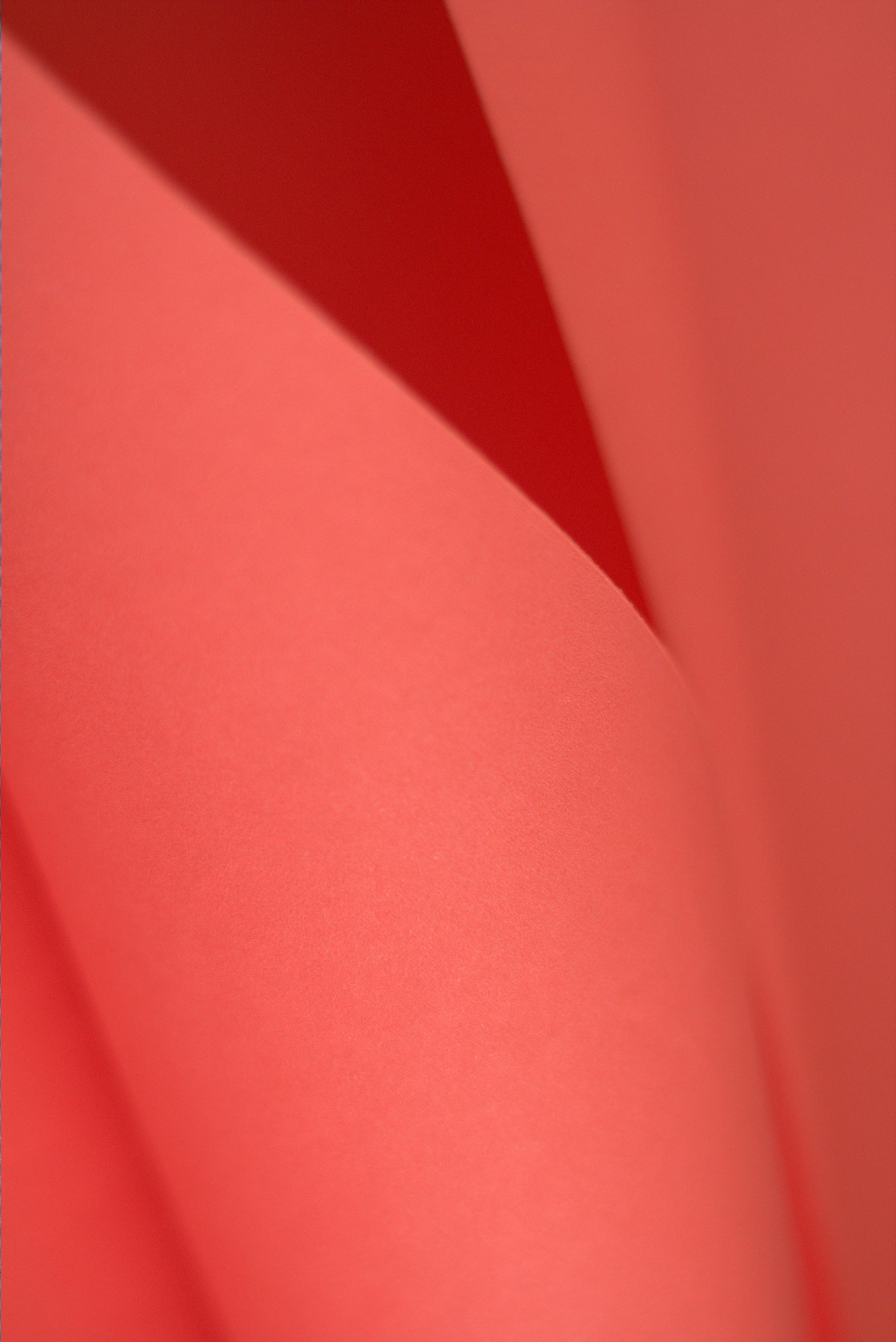 бесплатная Бесплатное стоковое фото с абстрактный, бланки, бразилия Стоковое фото