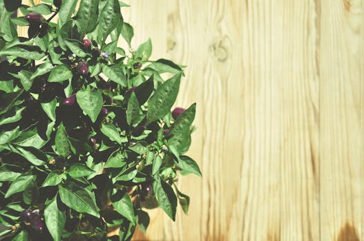 浅色木制背景下，明亮的绿叶和紫色花蕾相映成趣，非常适合自然主题