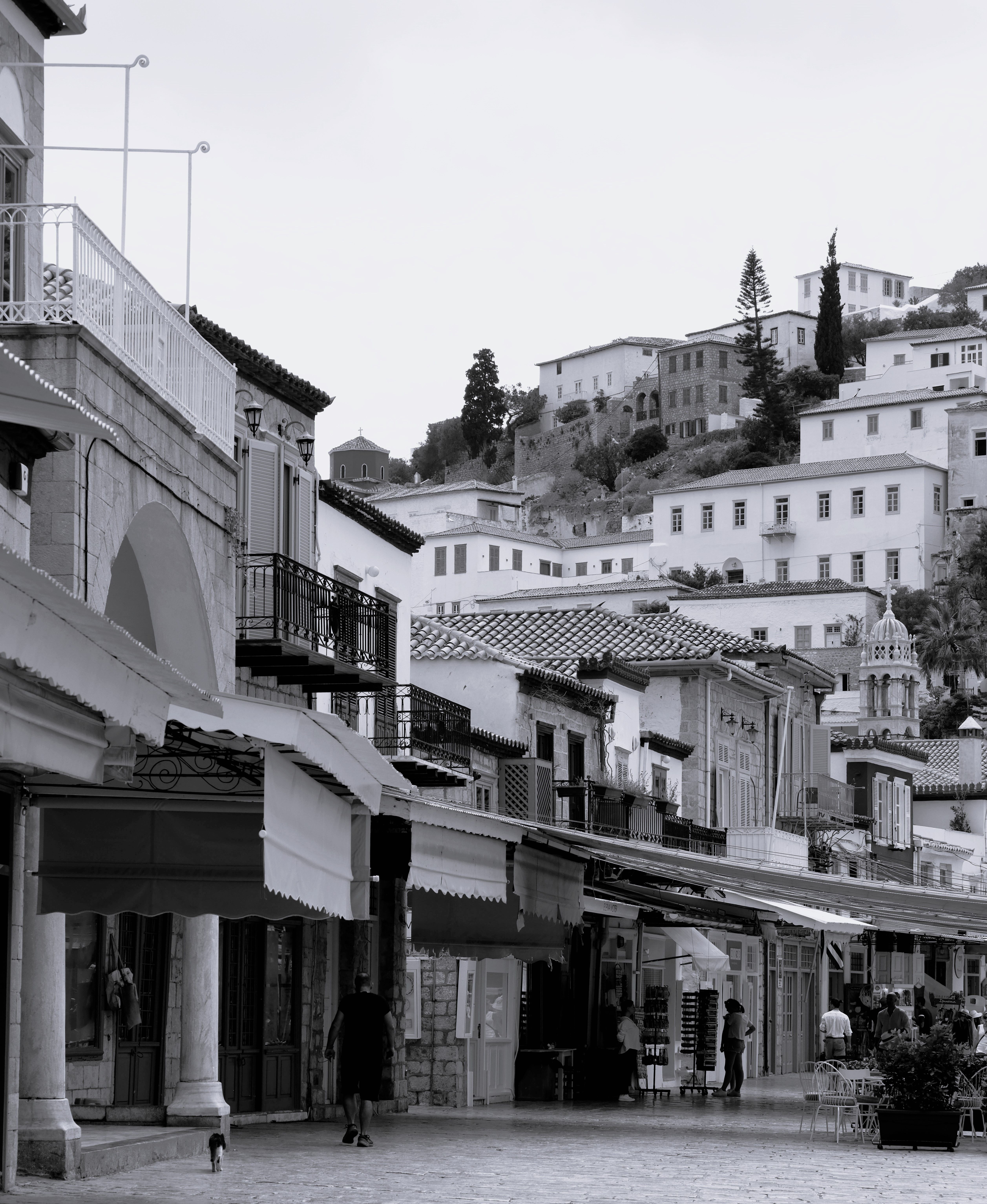 Buildings in Town in Black and White · Free Stock Photo