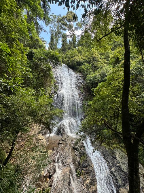 Free Beautiful waterfall amidst vibrant green trees and rocky landscape. Stock Photo