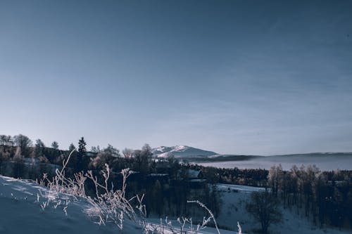 Bezpłatne Krajobraz Zdjęcie Pokrytej śniegiem Góry Zdjęcie z galerii