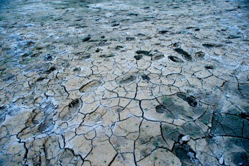 乾燥気候, 干ばつ, 気候変動の無料の写真素材