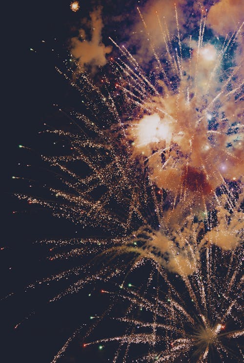 Exploding Fireworks in the Night Sky