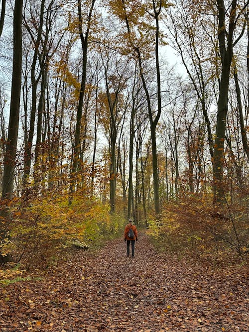 Donna Nell'avventura E Nella Natura