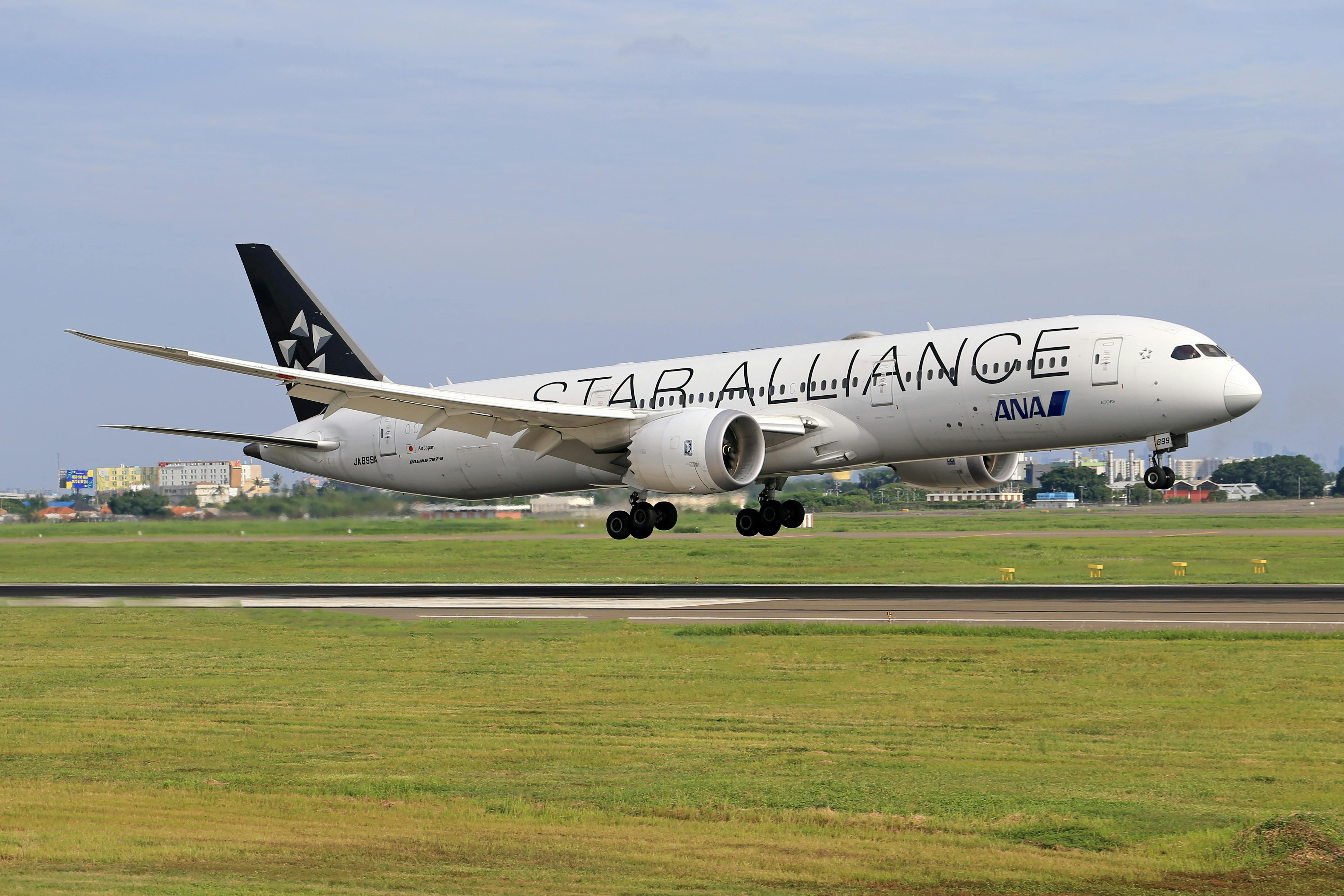 View of a Flying Star Alliance Airliner · Free Stock Photo View of a Flying Star Alliance Airliner · Free Stock Photo