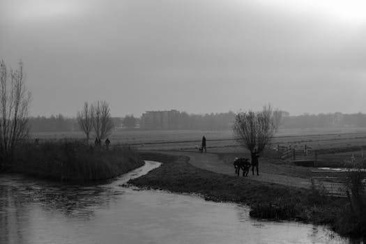 Image by Kağan Karatay