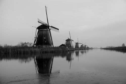 Free Black and white photo of iconic windmills reflecting in water at Kinderdijk, Netherlands. Stock Photo
