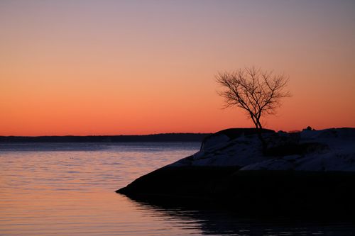 Free A tranquil lake scene with a tree silhouette at sunset, showcasing a vibrant sky. Stock Photo