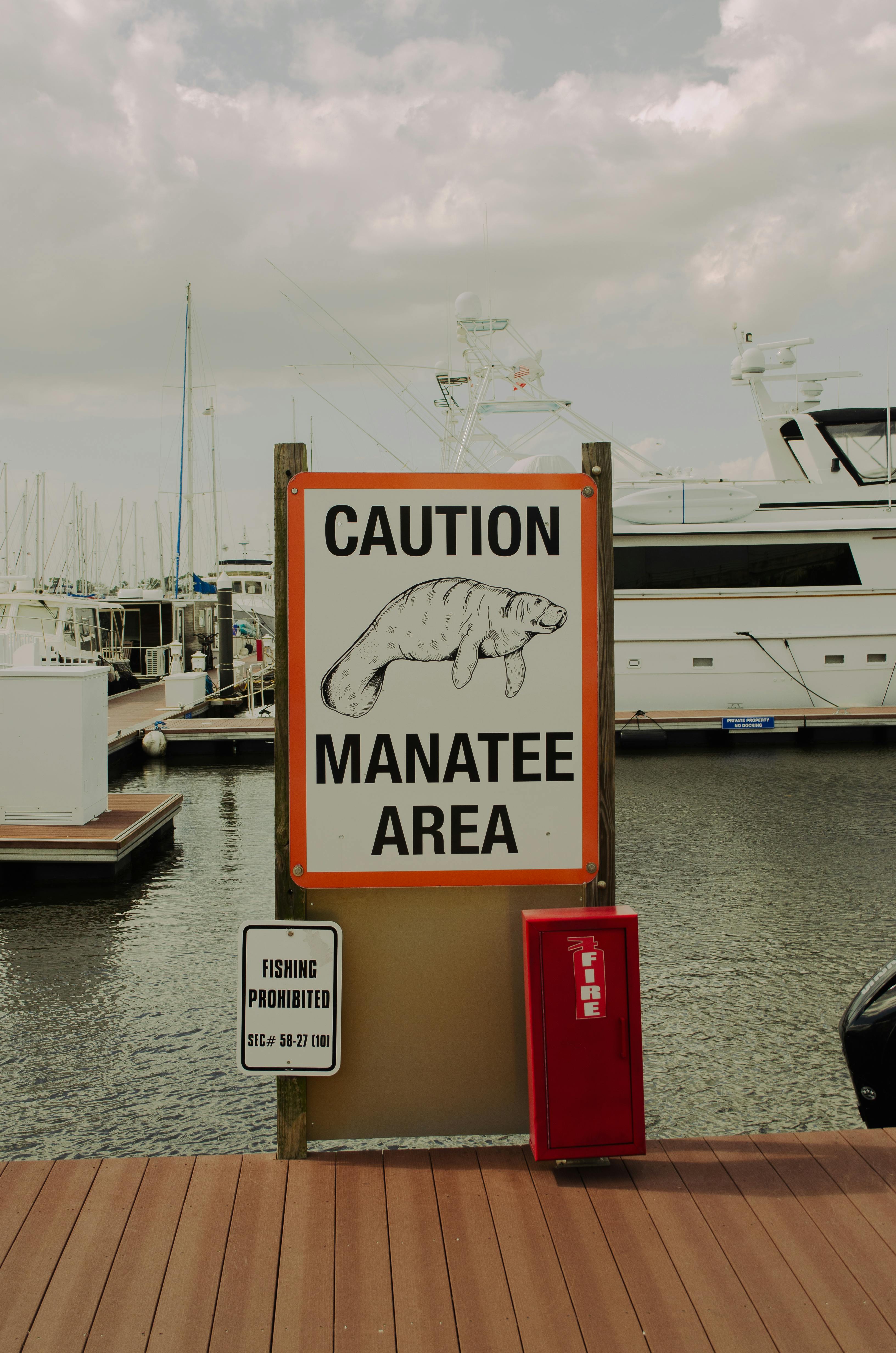Sign indicating manatee protection area at a marina with boats in West Palm Beach, FL.